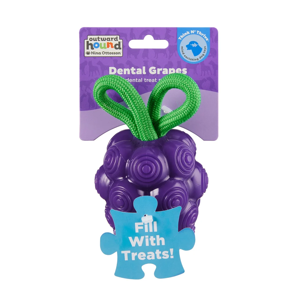 Zabawka do gryzienia ze sznurkiem i owocowym aromatem – Outward Hound (Kyjen) Dental Grapes - obrazek 1