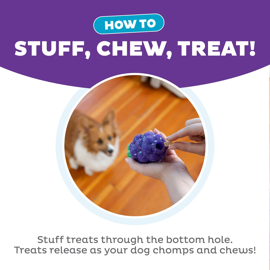 Zabawka do gryzienia ze sznurkiem i owocowym aromatem – Outward Hound (Kyjen) Dental Grapes - obrazek 6