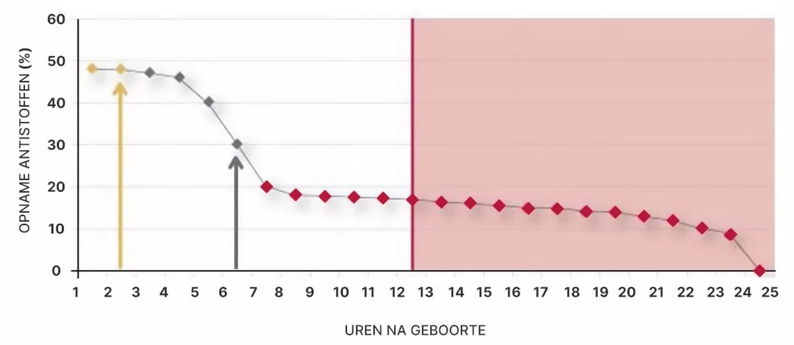 Proszek siarowy dla nowo narodzonych jagniąt, 750 g – Excellent Colstart Plus - obrazek 2