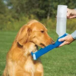 Butelka z miską 500 ml – Pawise Travel Bottle - obrazek 4