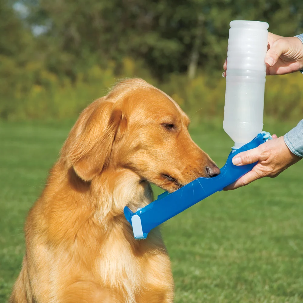 Butelka z miską 500 ml – Pawise Travel Bottle - obrazek 4