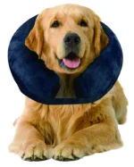 Nadmuchiwany kołnierz ochronny L, 33 do 45 cm – Pawise Inflatable Protective Collar - obrazek 2