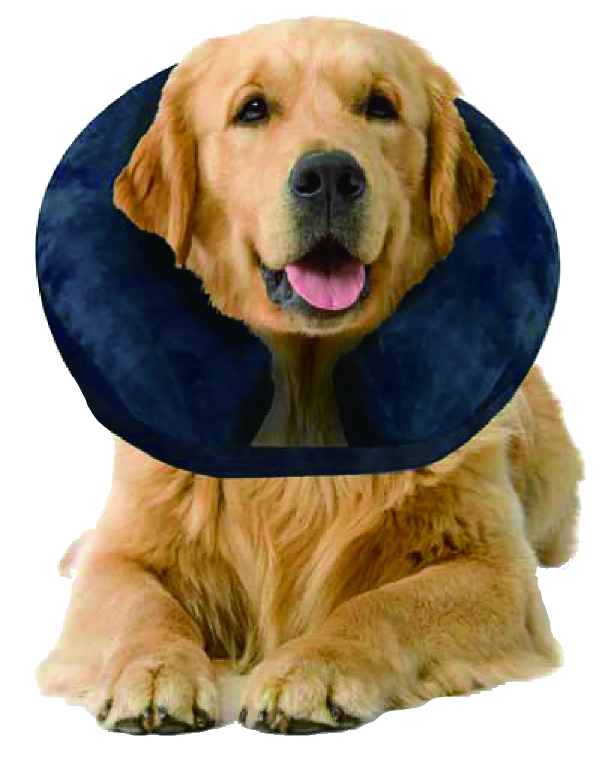 Nadmuchiwany kołnierz ochronny L, 33 do 45 cm – Pawise Inflatable Protective Collar - obrazek 2