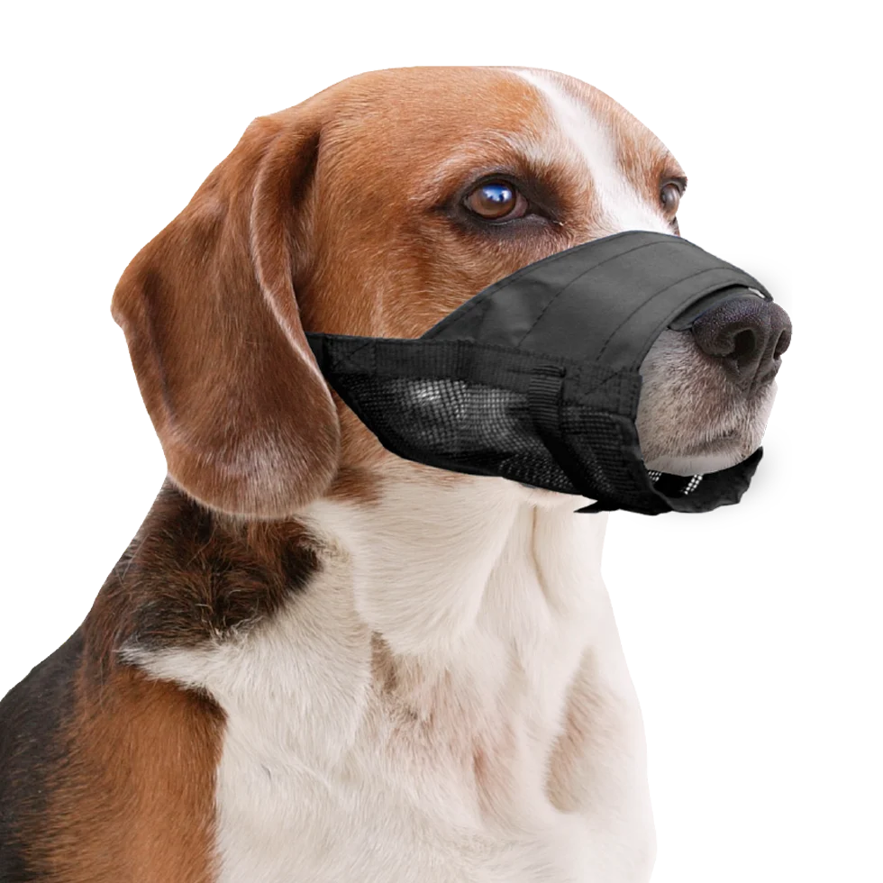 Nylonowy kaganiec dla psa, regulowany, czarny, rozmiar XS – Pawise Adjustable Nylon Muzzle XS - obrazek 2
