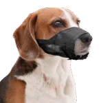 Kaganiec nylonowy dla psa, regulowany, rozmiar XL – Pawise Adjustable Nylon Muzzle XL - obrazek 2