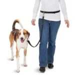 Smycz dla psa do biegania bez użycia rąk, z elastyczną końcówką – Pawise Hands Free Doggy Jogger Kit - obrazek 3