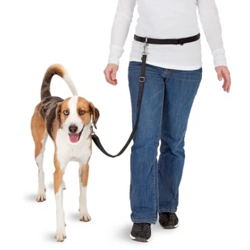Smycz dla psa do biegania bez użycia rąk, z elastyczną końcówką – Pawise Hands Free Doggy Jogger Kit - obrazek 3