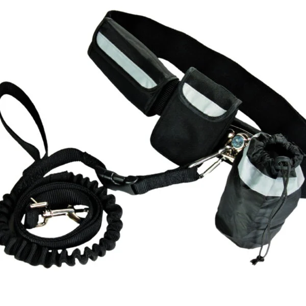 Smycz dla psa do biegania bez użycia rąk, z elastyczną końcówką – Pawise Hands Free Doggy Jogger Kit