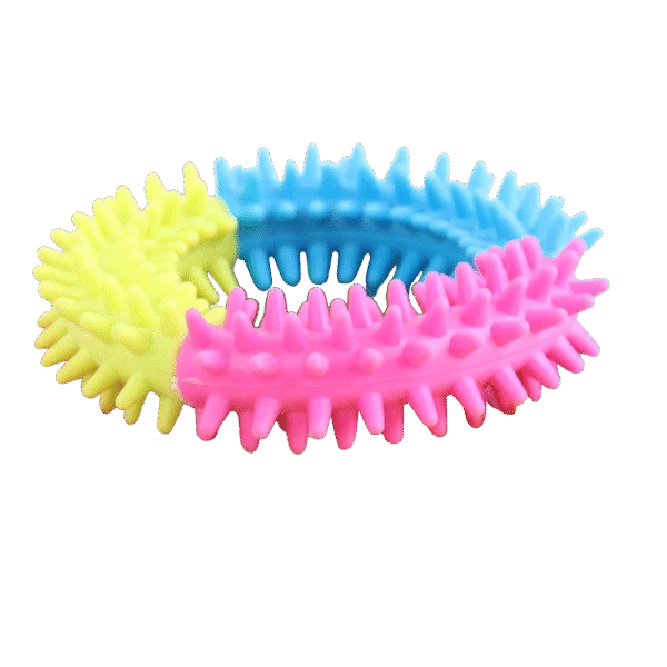 Kolorowy pierścień dla psa – Pawise Rainbow World Ring S