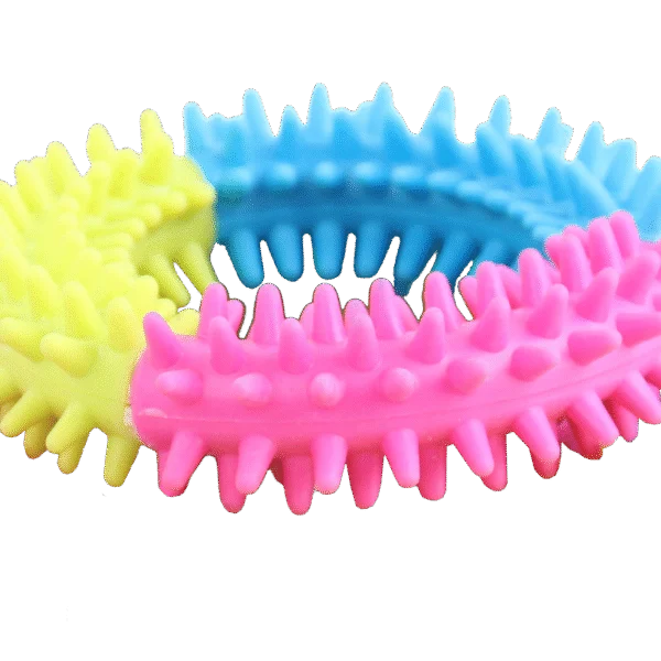 Tęczowa obręcz do zabawy dla psa – Pawise Rainbow World Ring L
