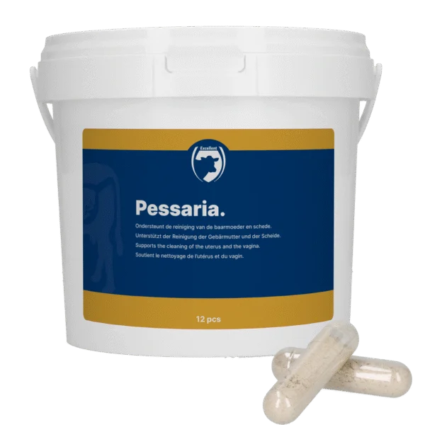 Kapsułki pessarowe z ziołami, 12 sztuk – Excellent Pessaria Capsule