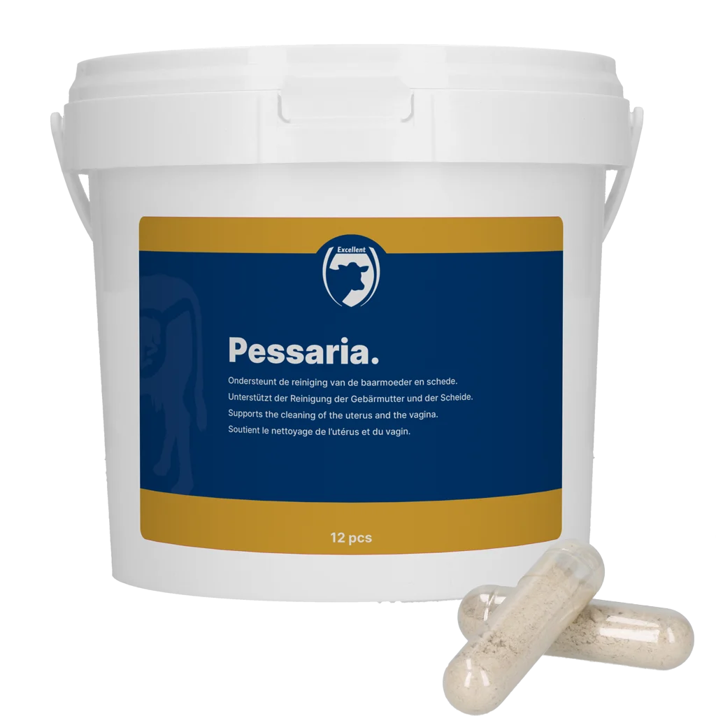 Kapsułki pessarowe z ziołami, 12 sztuk – Excellent Pessaria Capsule - obrazek 1