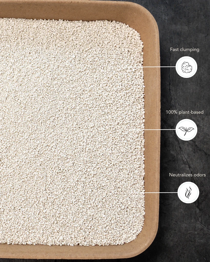 Zbrylający żwirek tofu do automatycznych kuwet, 3,5 kg – Petlux Cassave Tofu - obrazek 4