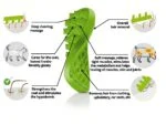 Szczotka silikonowa dla kotów długowłosych, zielona – Pet + Me Cat Hair Brush - obrazek 3