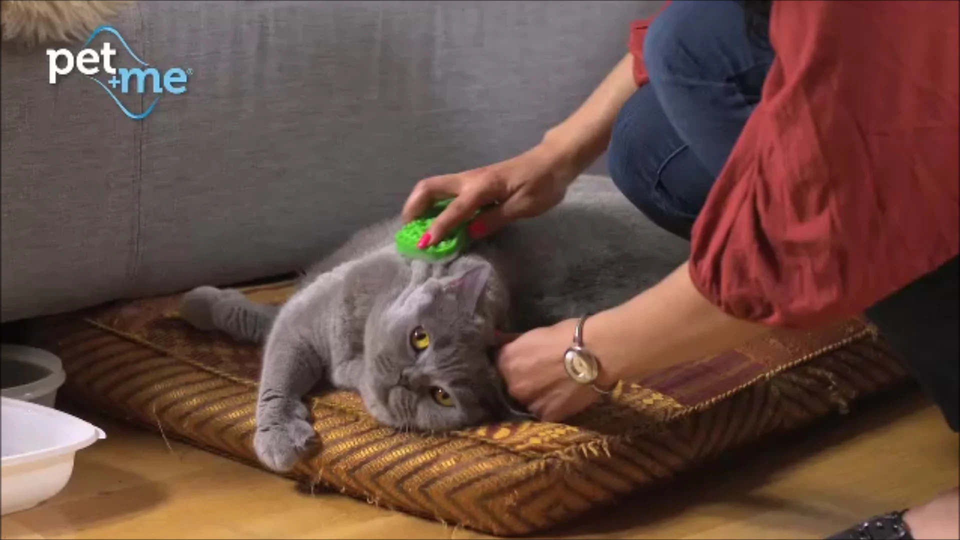 Szczotka silikonowa dla kotów długowłosych, zielona – Pet + Me Cat Hair Brush - obrazek 5