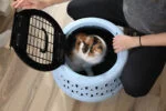 Okrągły transporter dla kotów z otwieraniem od góry, niebieski – Petmate Get-A-Round Kennel - obrazek 6