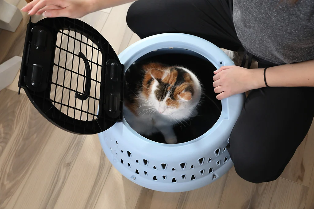 Okrągły transporter dla kotów z otwieraniem od góry, niebieski – Petmate Get-A-Round Kennel - obrazek 6