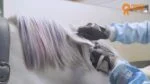 Kreda do włosów dla koni, kolory tęczy, 6 sztuk – Paardenpraat TV Regenboog Kleurkrijt - obrazek 2