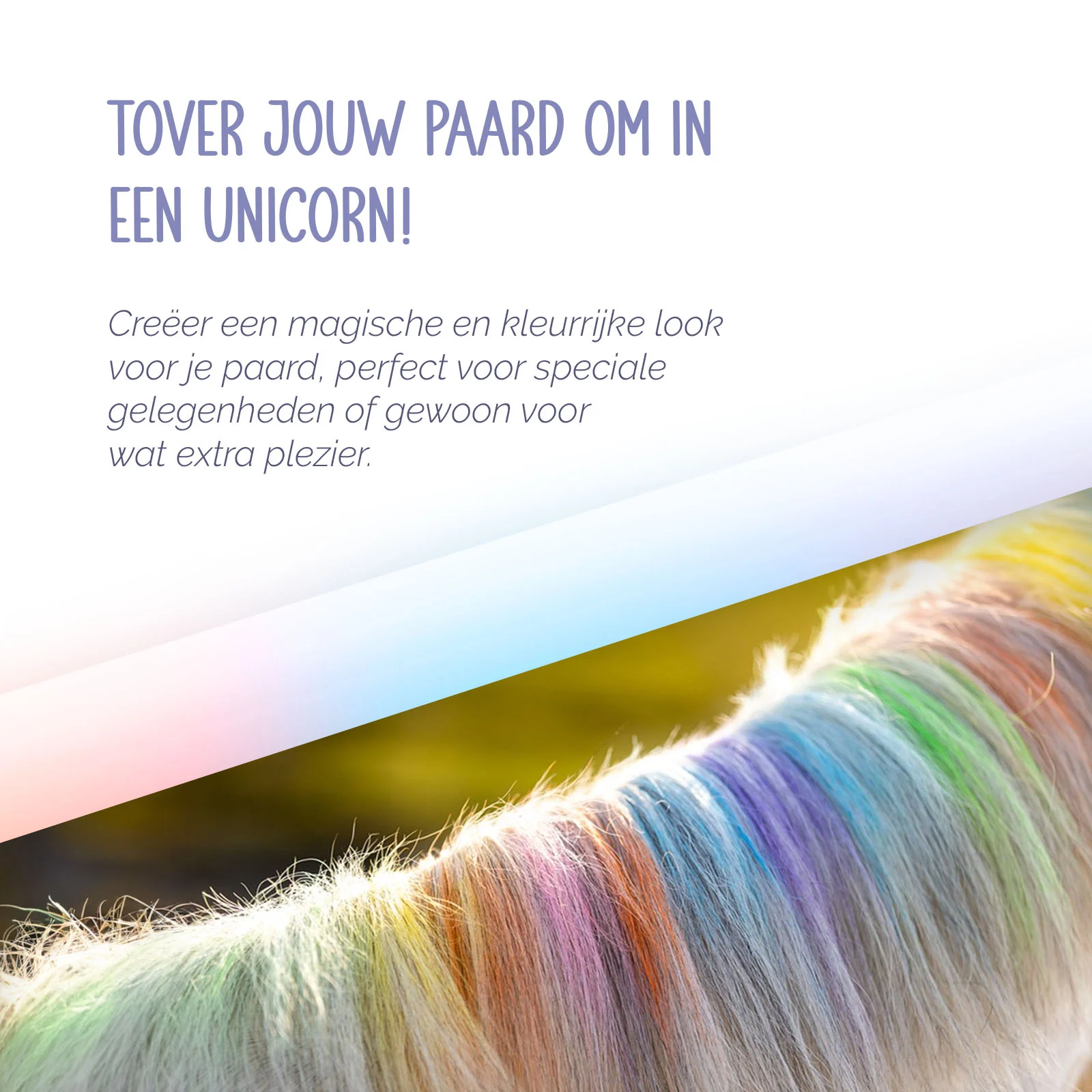 Kreda do włosów dla koni, kolory tęczy, 6 sztuk – Paardenpraat TV Regenboog Kleurkrijt - obrazek 6