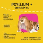 Łuski babki jajowatej dla psów w proszku, 100 g – Excellent Pets Dog Psyllium+ - obrazek 6
