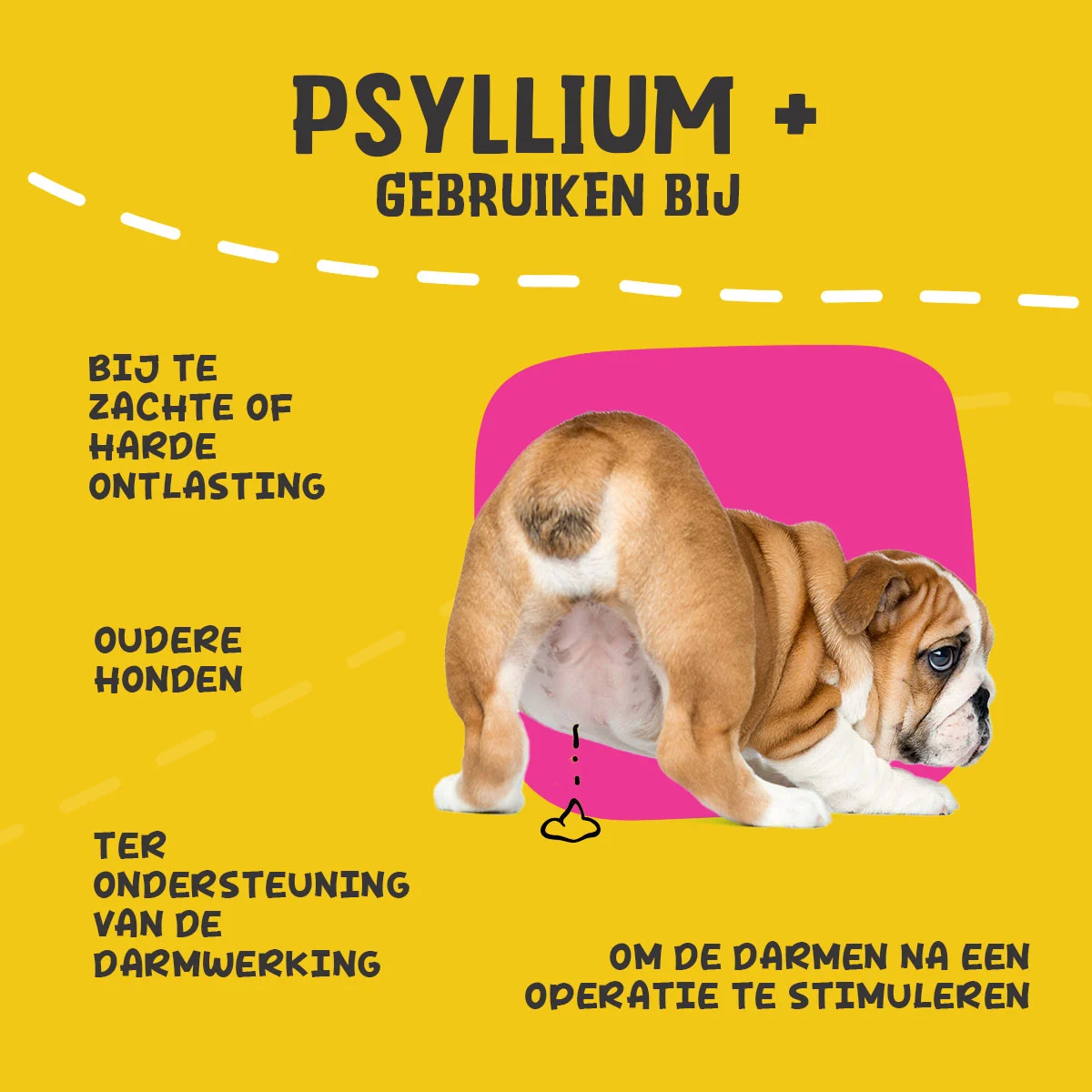 Łuski babki jajowatej dla psów w proszku, 100 g – Excellent Pets Dog Psyllium+ - obrazek 6