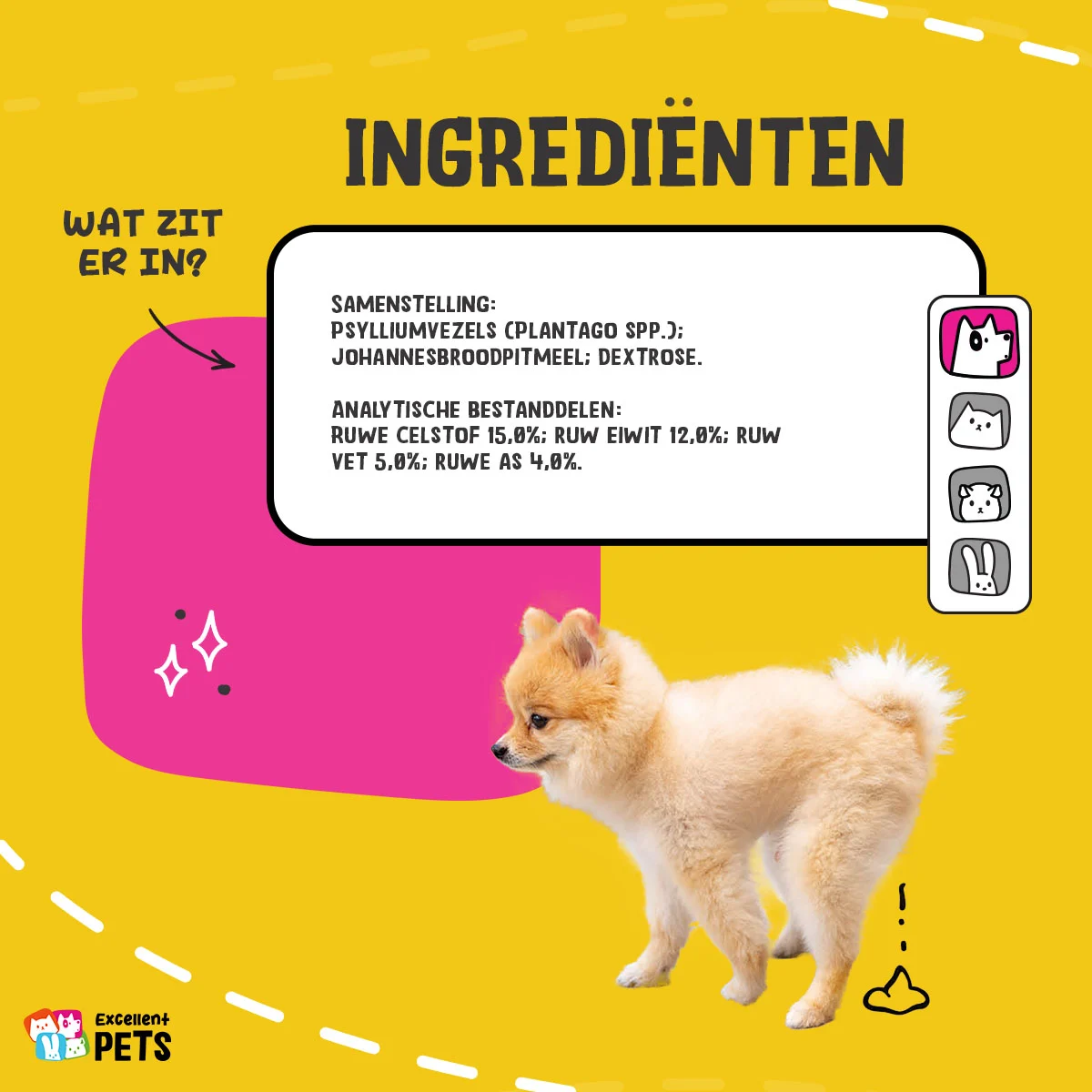 Łuski babki jajowatej dla psów w proszku, 100 g – Excellent Pets Dog Psyllium+ - obrazek 4