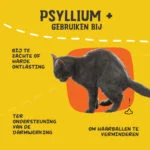 Psyllium w proszku dla kotów z mączką chleba świętojańskiego, 100 g – Excellent Pets Cat Psyllium+ - obrazek 6