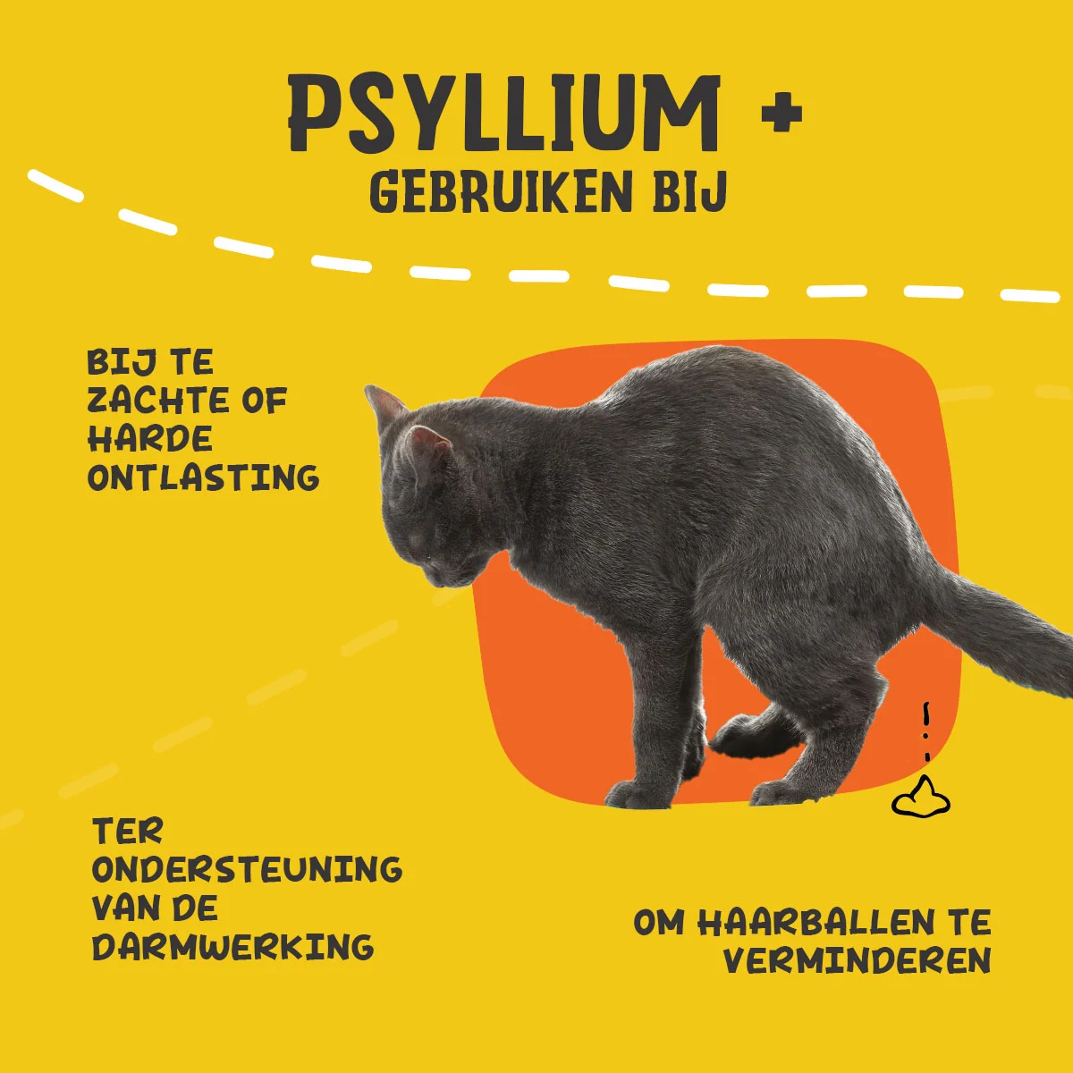Psyllium w proszku dla kotów z mączką chleba świętojańskiego, 100 g – Excellent Pets Cat Psyllium+ - obrazek 6