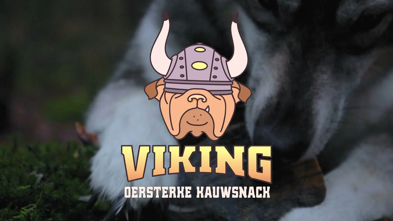 Róg wołowy do gryzienia dla psów o wadze od 1 do 4 kg – Viking Horn Whole S - obrazek 2