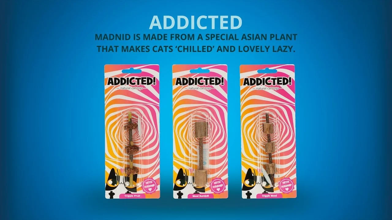 Drewniana zabawka dla kota z MADNIP – Addicted! Triple Wood - obrazek 6