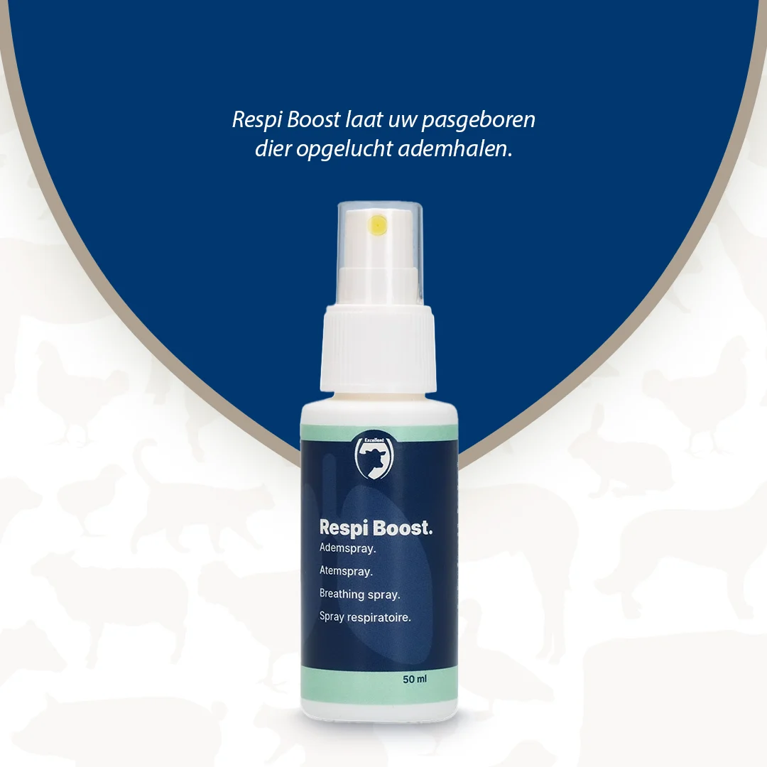 Spray wspomagający oddychanie dla nowo narodzonych zwierząt, 50 ml – Excellent Respi Boost - obrazek 2