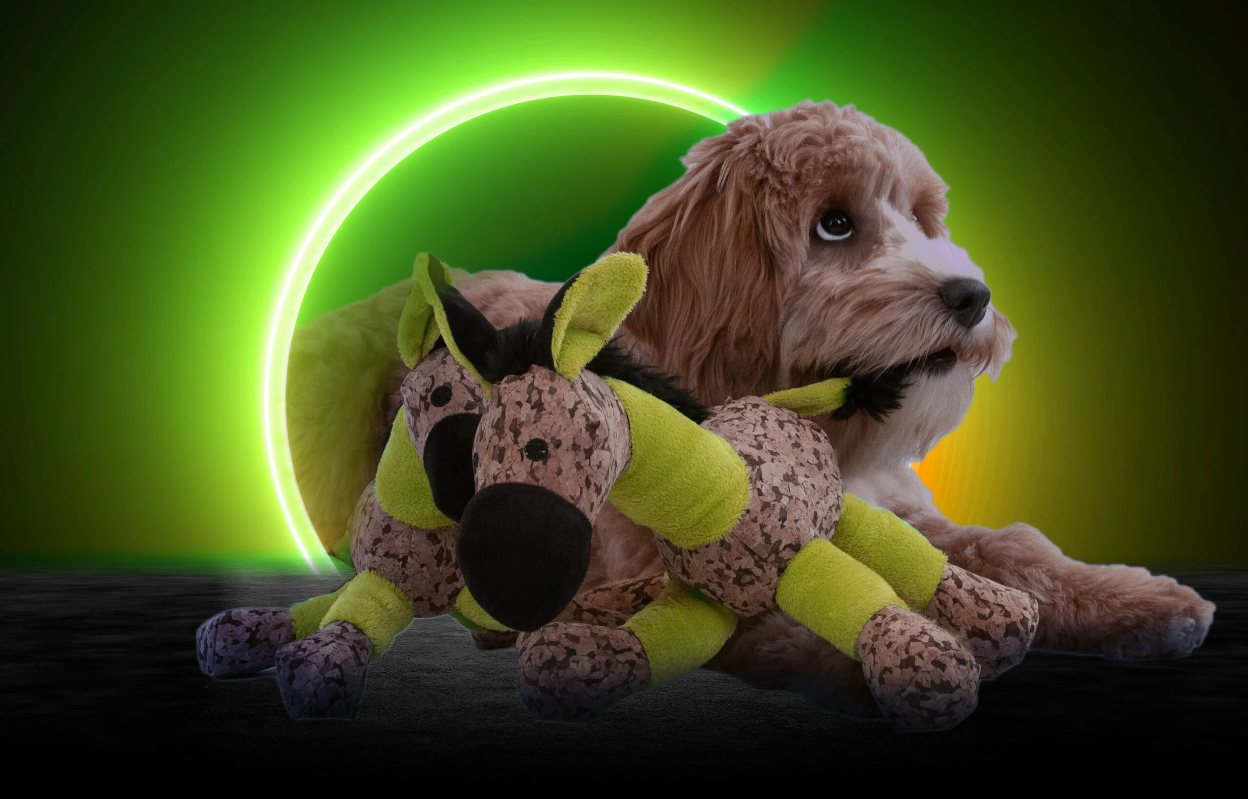 Pluszowy osiołek dla psa z piszczałką, żółty, S – Retro Dog Donkey - obrazek 4