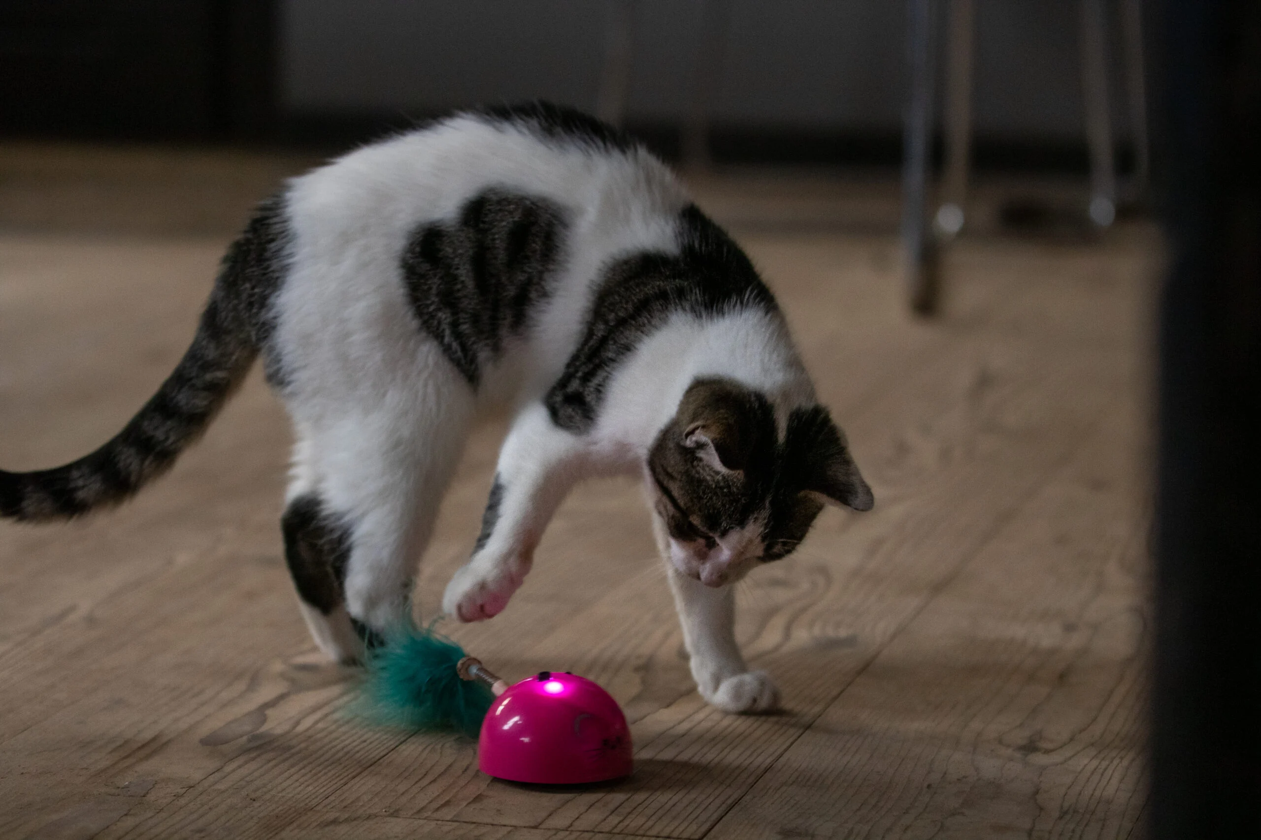 Zabawka w kształcie myszy z czujnikiem ruchu i madnipem, różowa – Robocat Mouse - obrazek 5