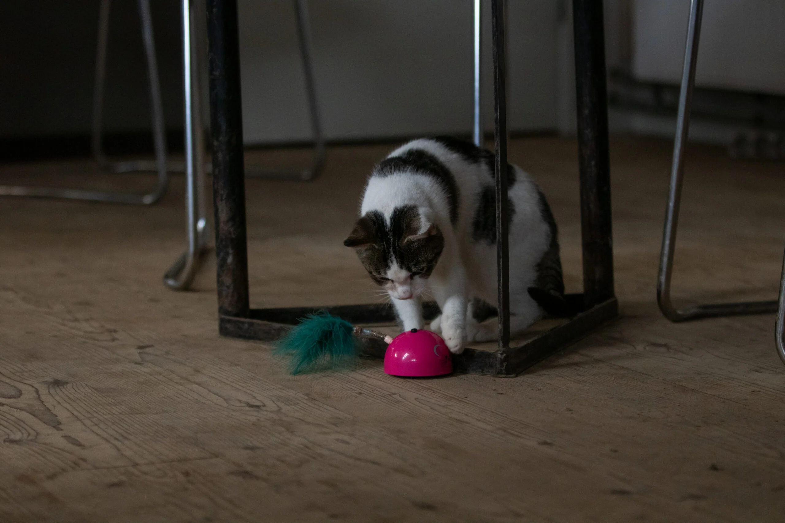Zabawka w kształcie myszy z czujnikiem ruchu i madnipem, różowa – Robocat Mouse - obrazek 6