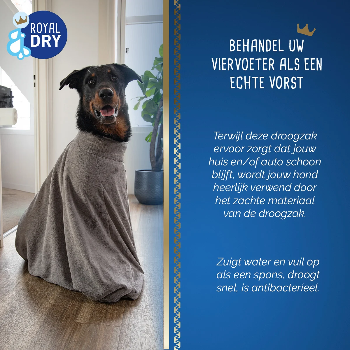Ręcznik dla psa z mikrofibry L, długość grzbietu 75 cm – Royal Dry Doggy Bag - obrazek 6