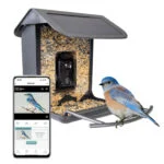 Karmnik z kamerą i panelem słonecznym, 1,5 l – Hofman Animal Care AI Bird Feeder