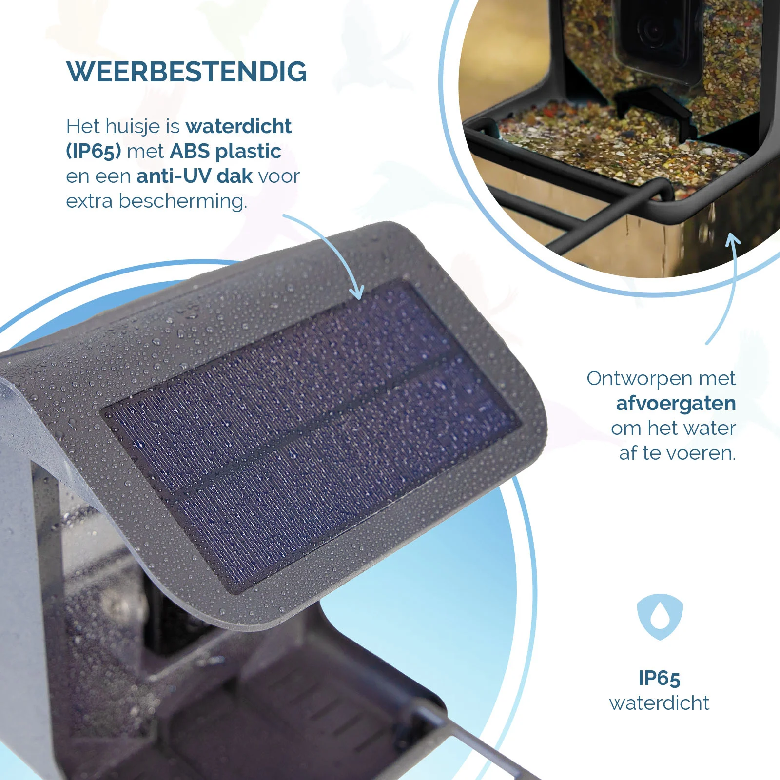 Karmnik z kamerą i panelem słonecznym, 1,5 l – Hofman Animal Care AI Bird Feeder - obrazek 5