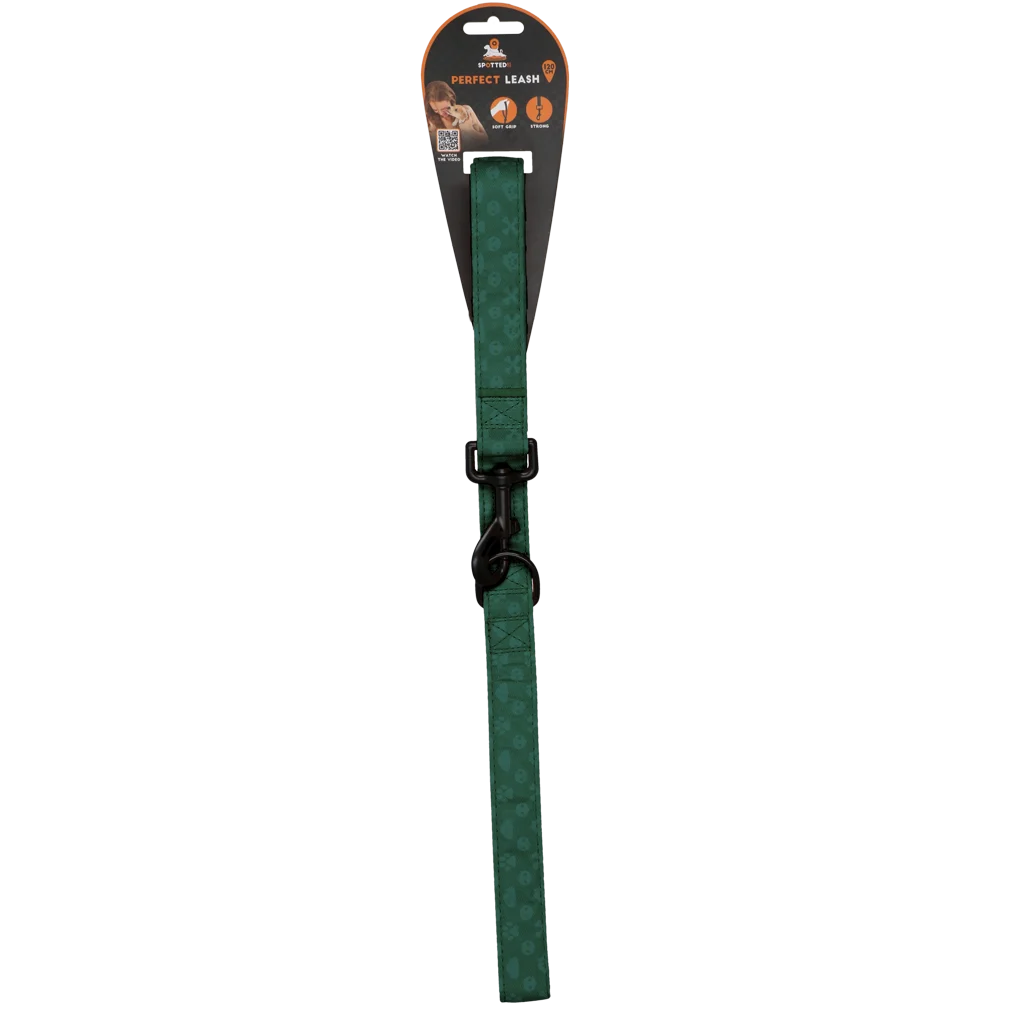 SPOT0014B.png Smycz dla psa z kółkiem D, 120 cm, zielona – Spotted! Pro Perfect Leash - obrazek 1