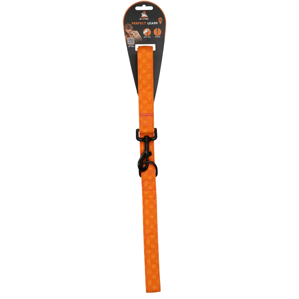 SPOT0014C.png Smycz dla psa z kółkiem D, 120 cm, pomarańczowa – Spotted! Pro Perfect Leash - obrazek 1