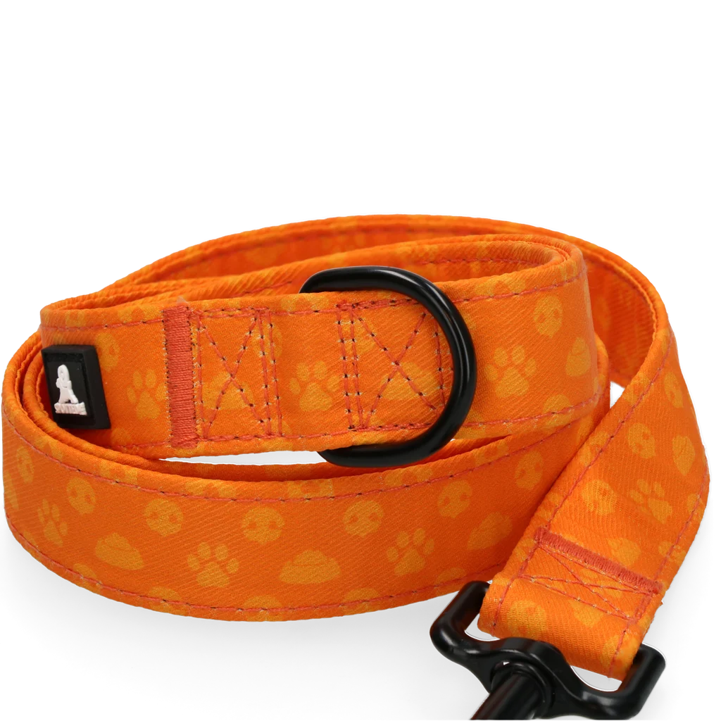 Smycz dla psa z kółkiem D, 120 cm, pomarańczowa – Spotted! Pro Perfect Leash - obrazek 3