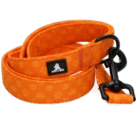Smycz dla psa z kółkiem D, 120 cm, pomarańczowa – Spotted! Pro Perfect Leash - obrazek 4