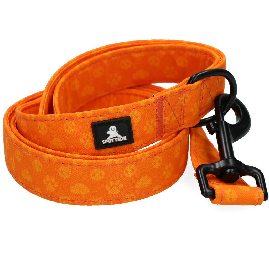 Smycz dla psa z kółkiem D, 120 cm, pomarańczowa – Spotted! Pro Perfect Leash - obrazek 4