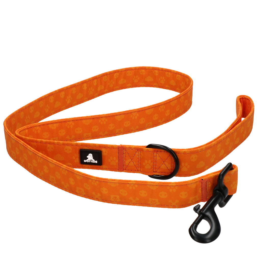 Smycz dla psa z kółkiem D, 120 cm, pomarańczowa – Spotted! Pro Perfect Leash - obrazek 5
