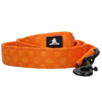 Smycz dla psa z kółkiem D, 120 cm, pomarańczowa – Spotted! Pro Perfect Leash - obrazek 2