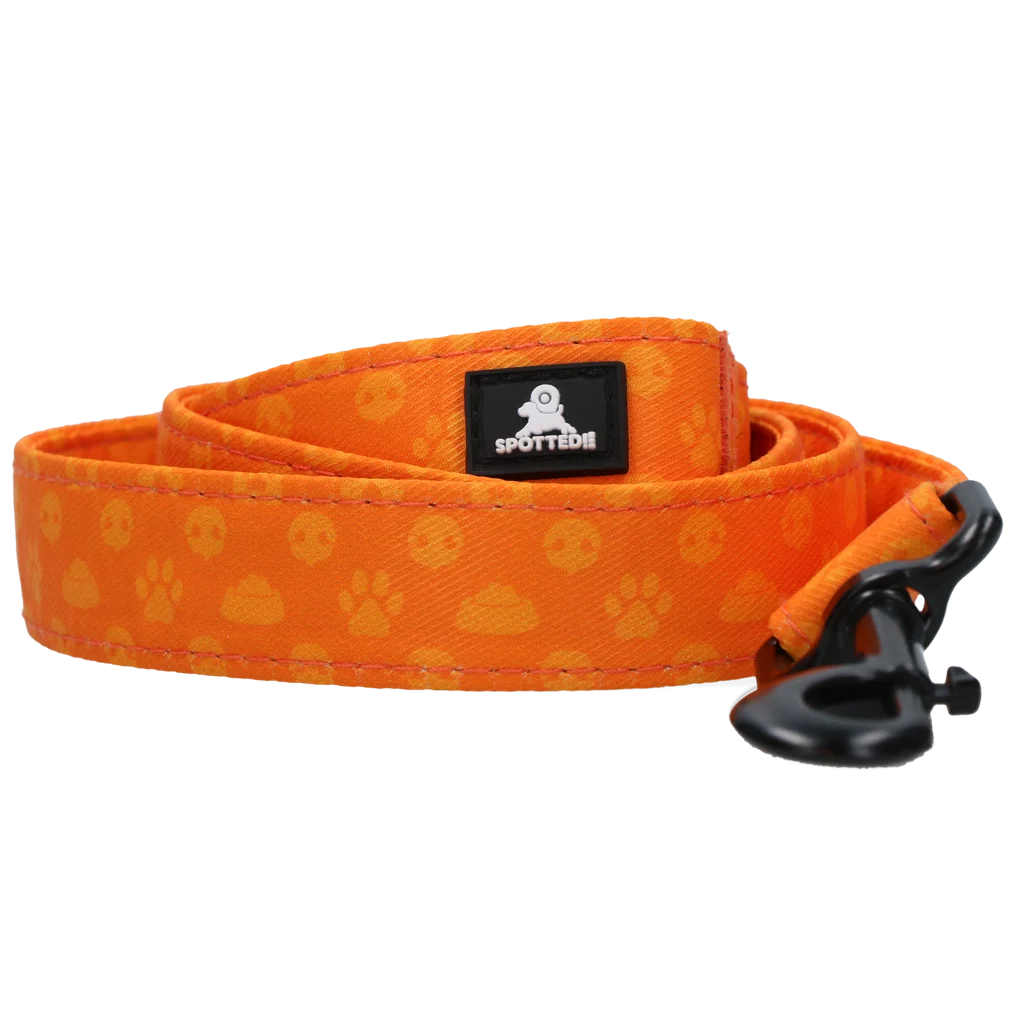 Smycz dla psa z kółkiem D, 120 cm, pomarańczowa – Spotted! Pro Perfect Leash - obrazek 2