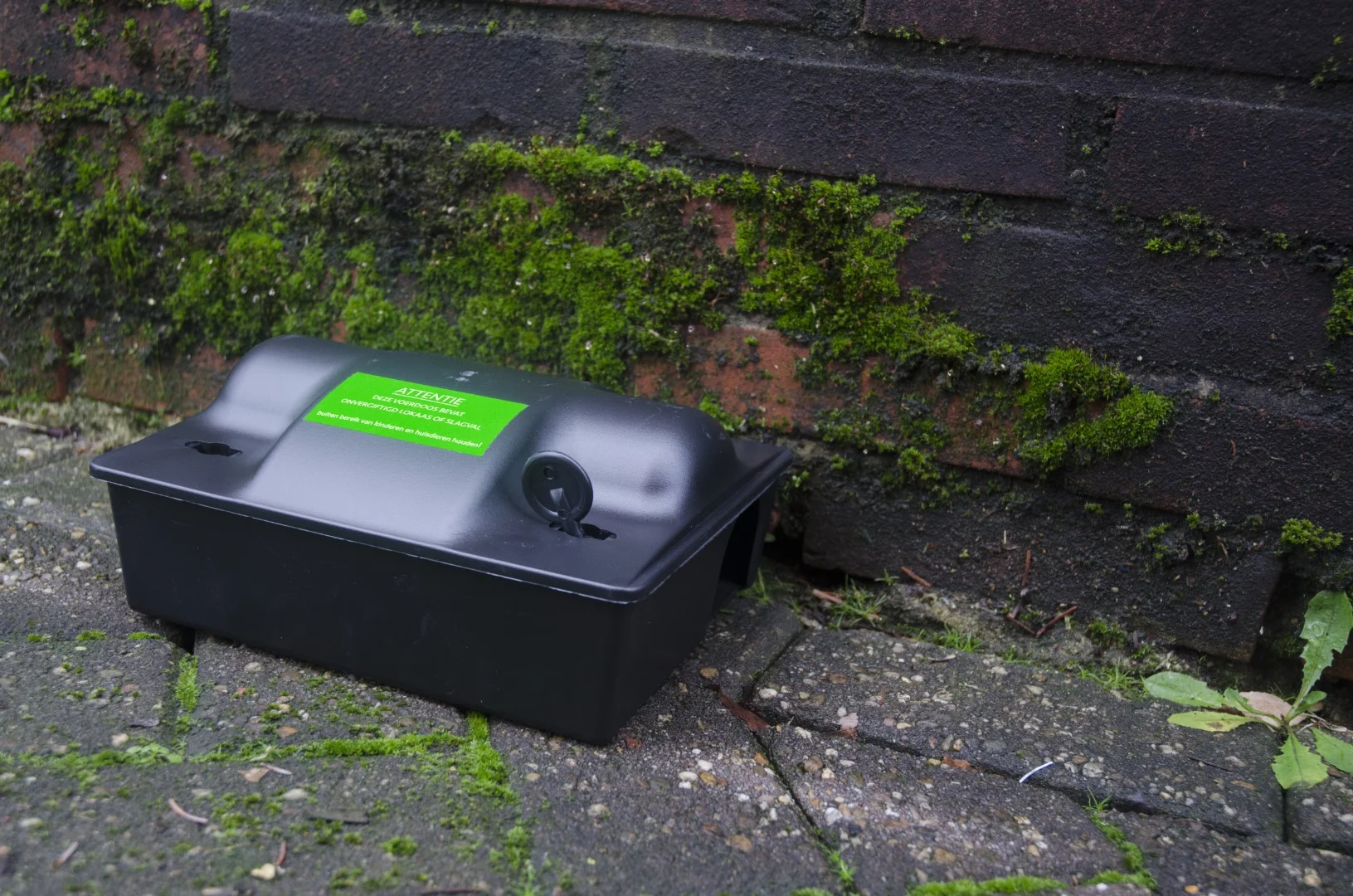 Naklejka ostrzegawcza do przynęty monitorującej lub pułapki zatrzaskowej, 8 x 4 cm, 100 sztuk – Hofman Pest Control, Nie zatrute / Pułapka zatrzaskowa - obrazek 2