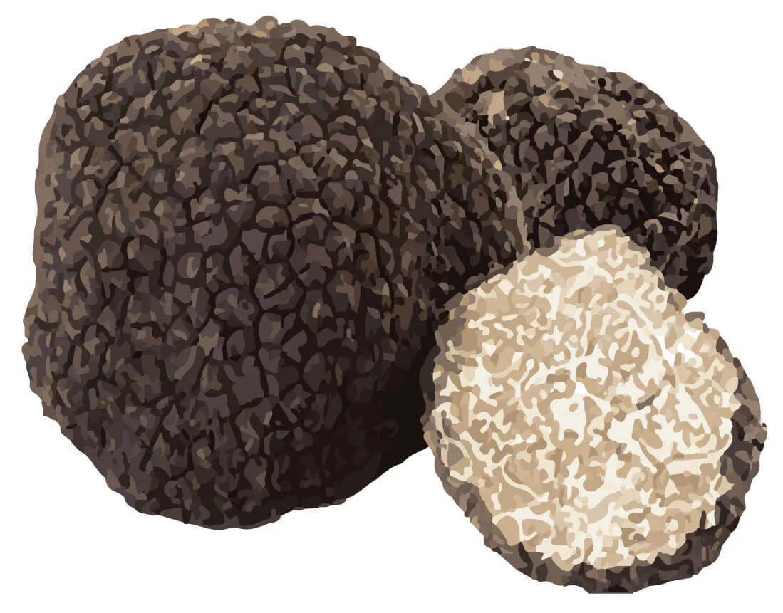 Serowy gryzak dla psa z czarną truflą, rozmiar S – SwissCowers Cheese Bars Truffle S - obrazek 5