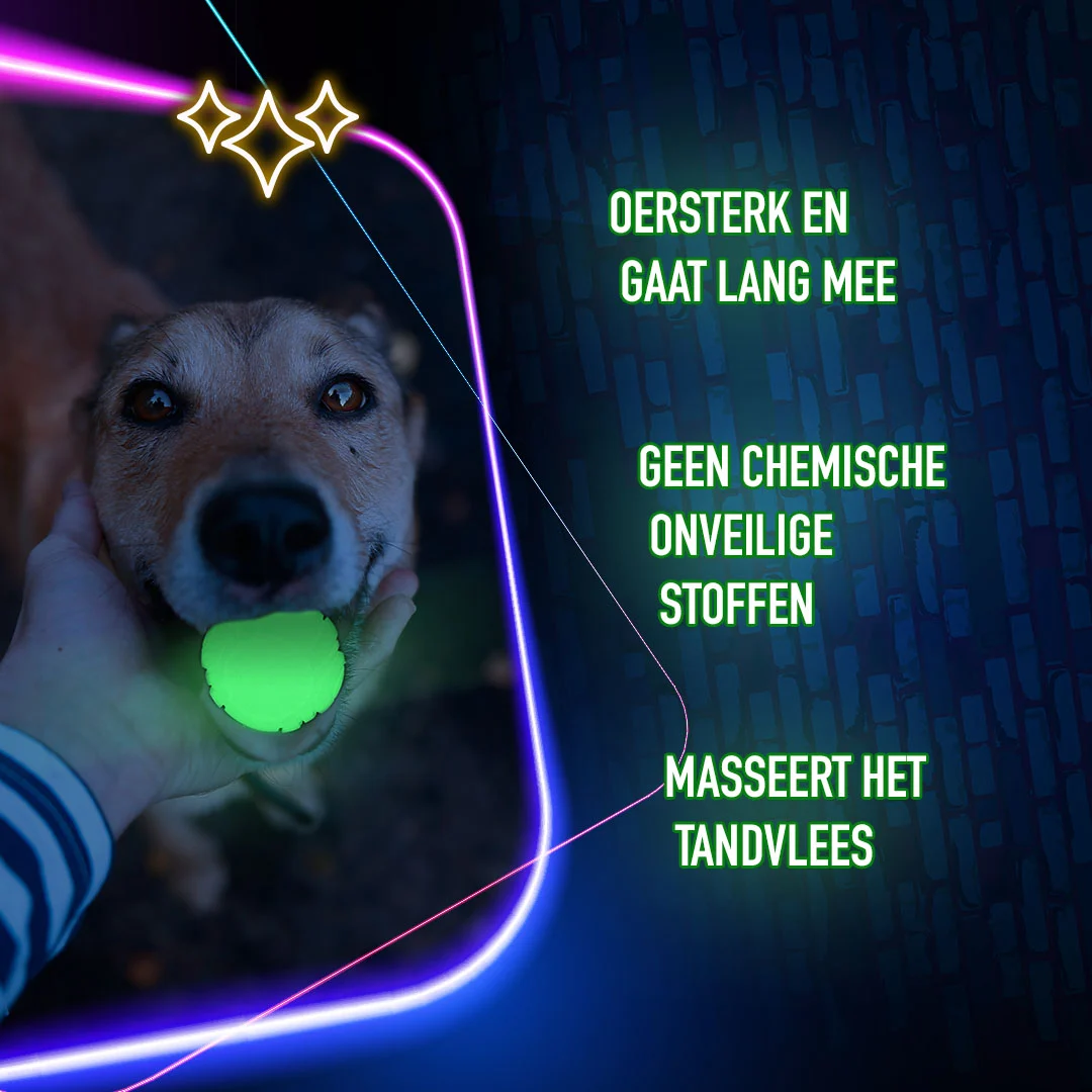 Świecąca zabawka w kształcie kości dla psa – 2 Glow Bone of it's Own - obrazek 6