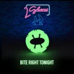 Świecąca zabawka dla psa – 2 Glow Bite Right Tonight - obrazek 3