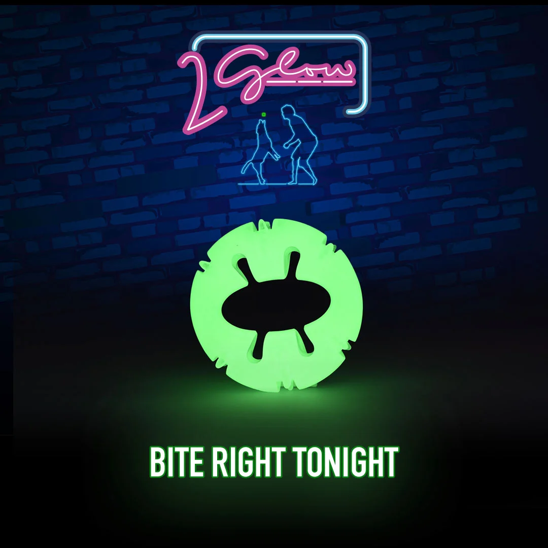 Świecąca zabawka dla psa – 2 Glow Bite Right Tonight - obrazek 3